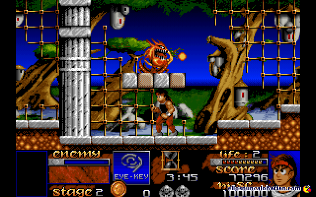 risky woods para ordenador