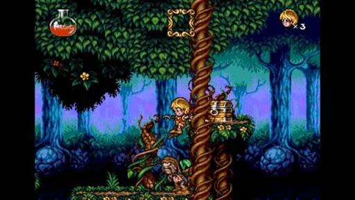 Flink mega cd