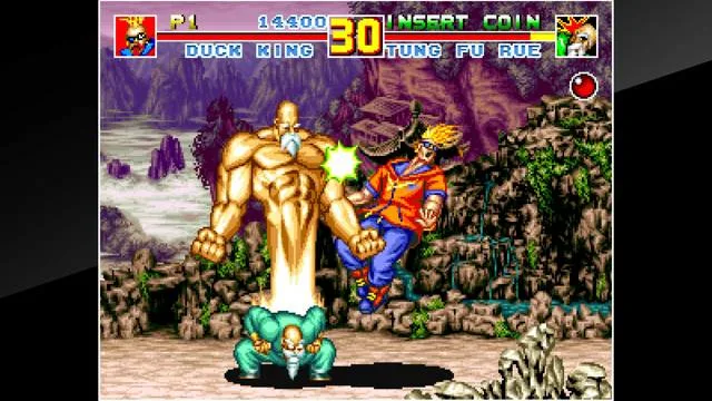 fatal fury special